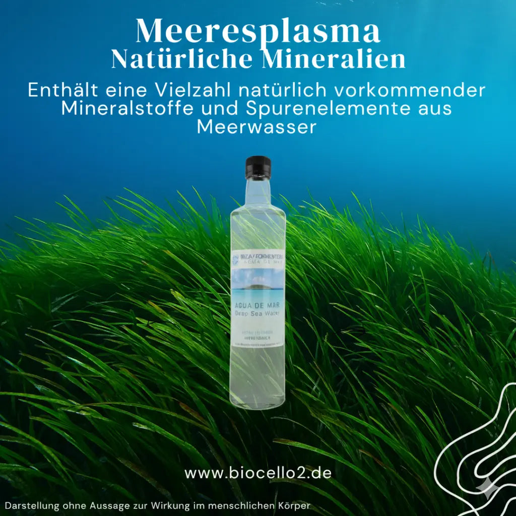 Meeresplasma aus Ibiza und Formentera – BioCell O2