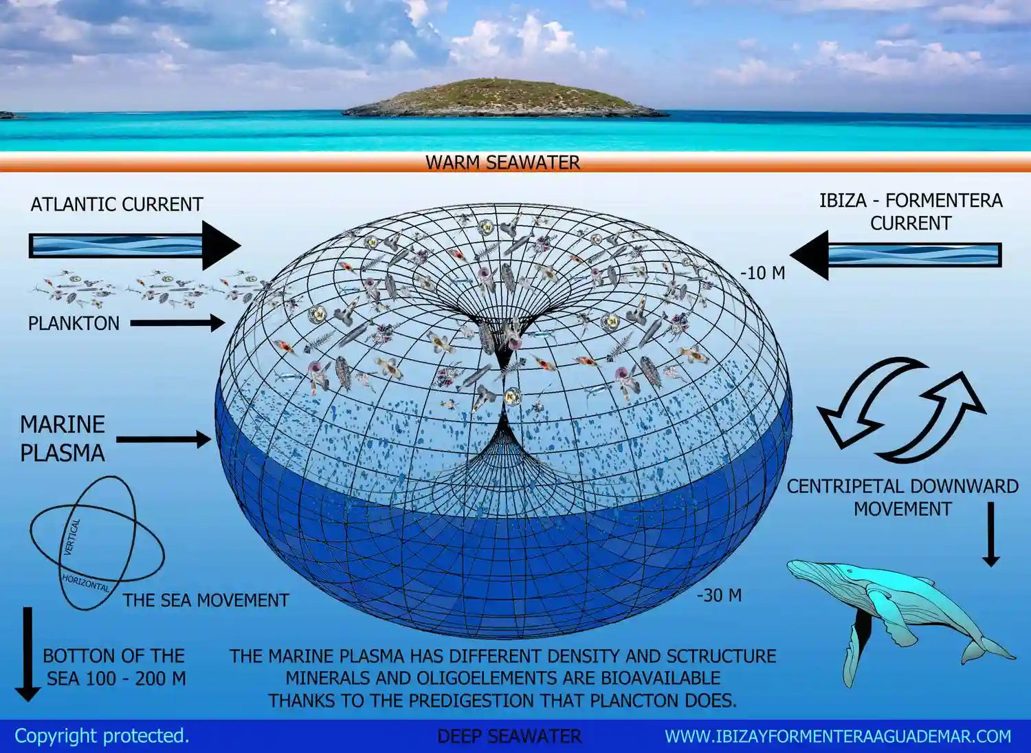Meeresströmungen - Meeresplasma aus Ibiza und Formentera – BioCell O2
